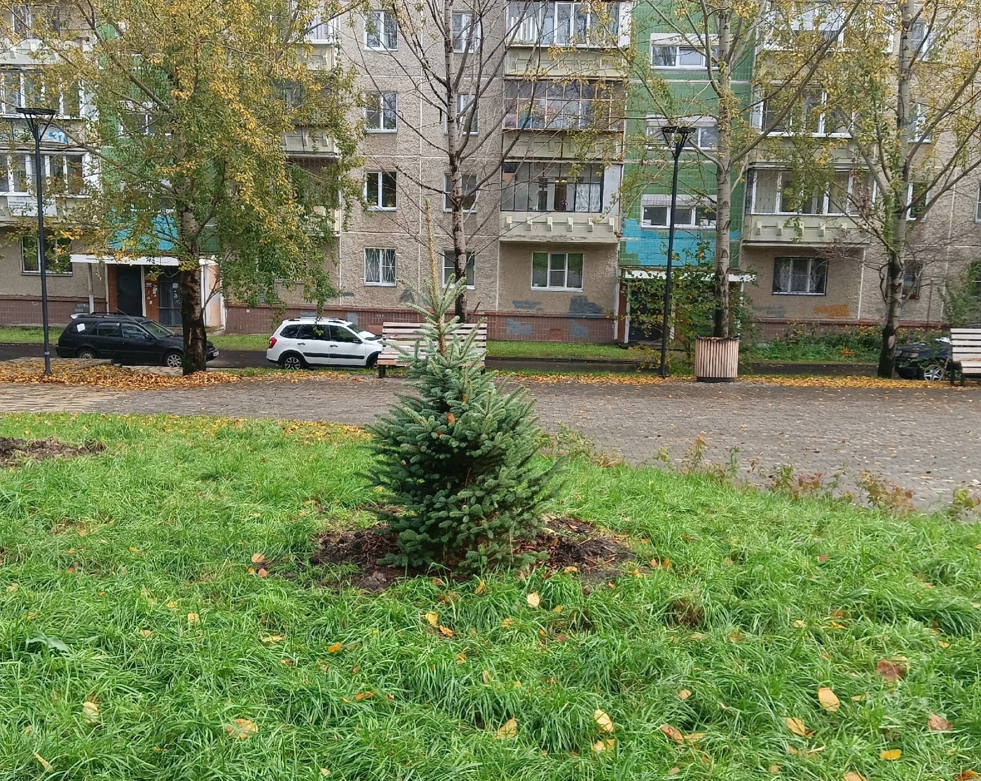 🌿Уход за зелеными насаждениями в Челябинске находится на особом контроле
