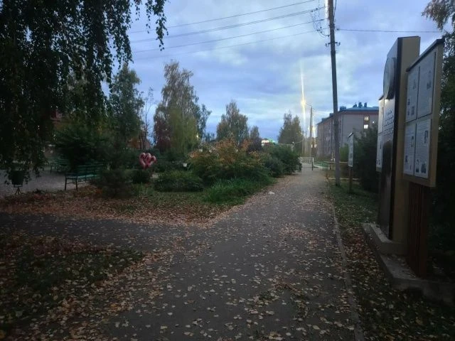 Добрый вечер! Пусть он принесёт тепло и спокойствие 🌙