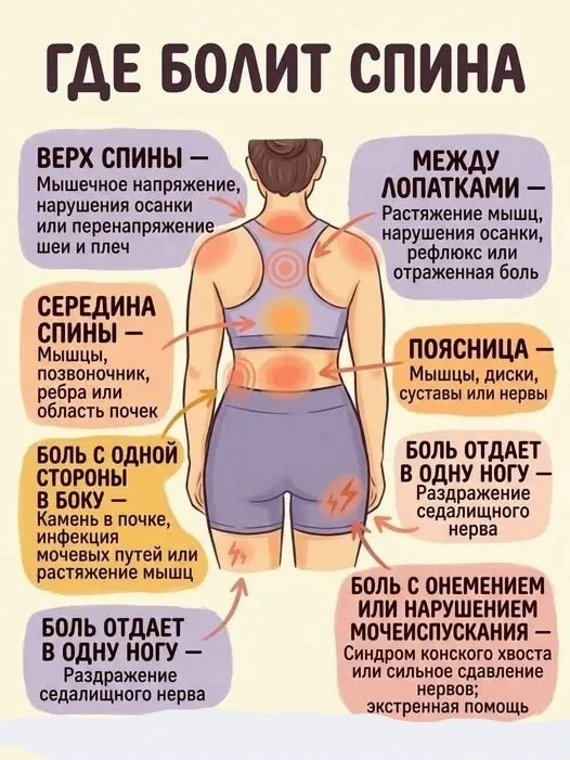 Спасибо за реакции 🔥 👍❤️