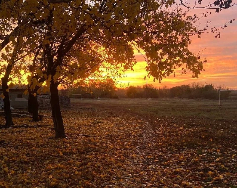 🌷 Доброе утро, Москва!