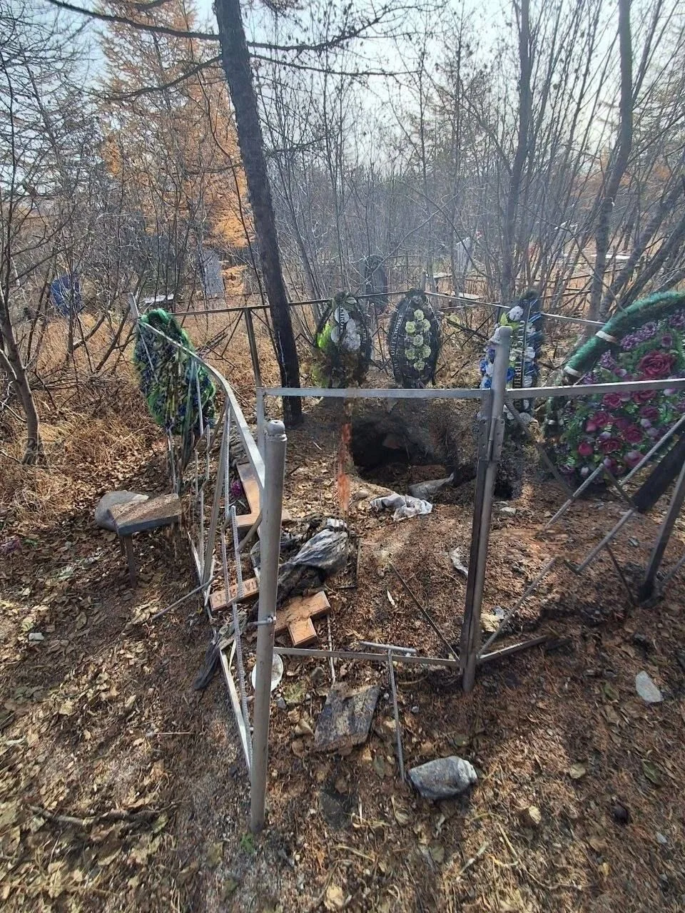 ☠ 🐻 Гигантский медведь начал раскапывать могилы и похищать тела на кладбище в Магадане.