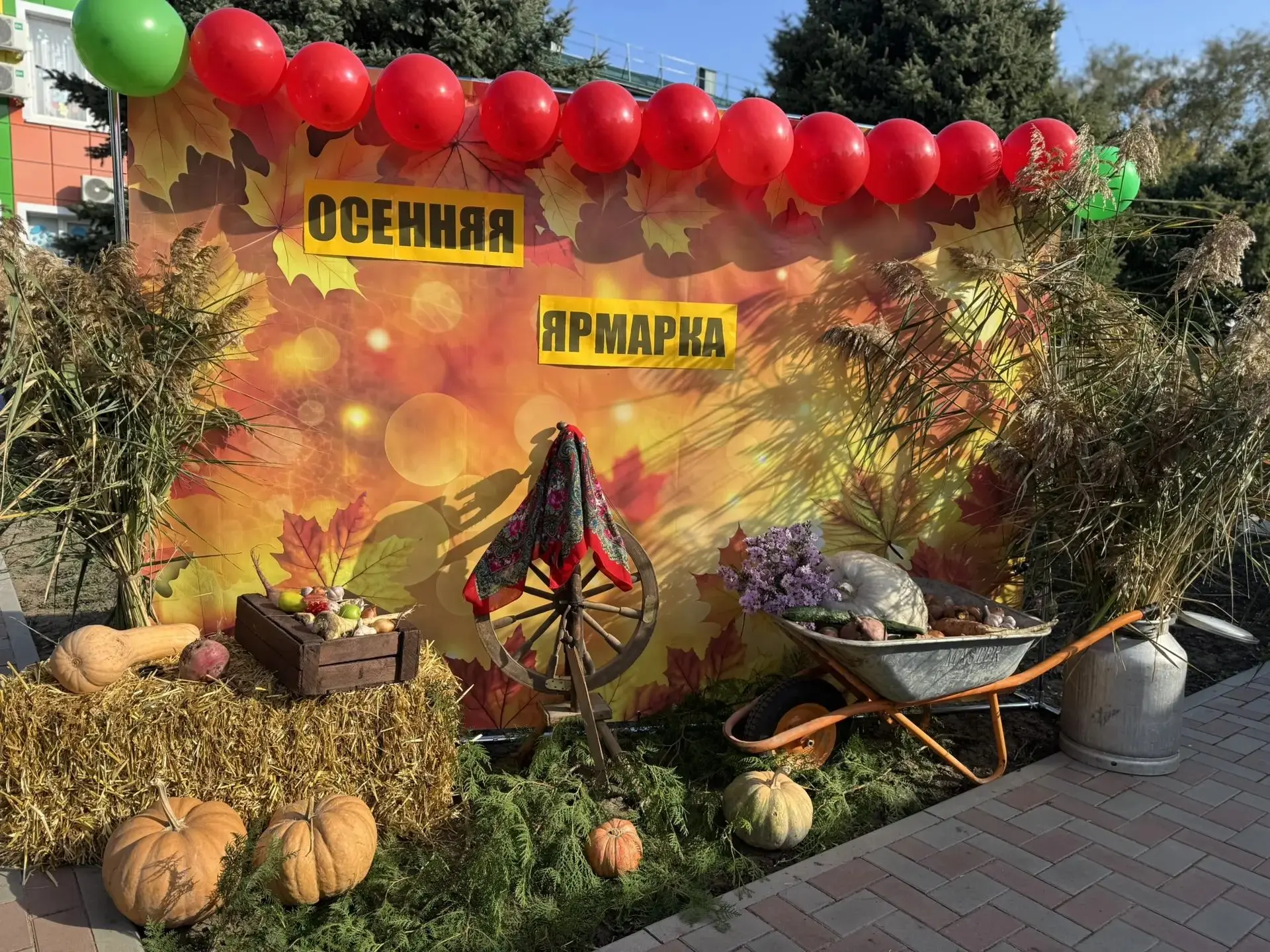 📷 Фотомоменты Осенней ярмарки 🍁🌾🍐🍉🍅🍆🥨🫙