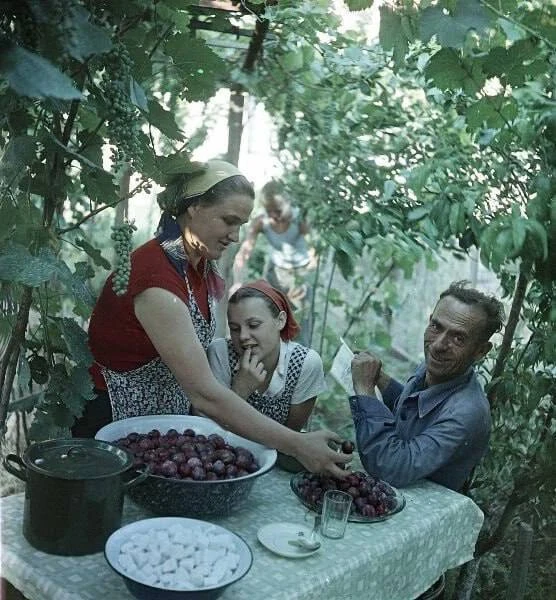 Варенье из фруктов собственного сада, Грузинская ССР, 1957 год.