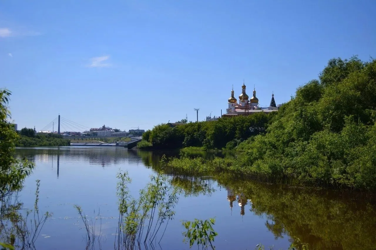 Место впадения в Туру ее правого притока - речки Бабарынки. Июль 2014 года.