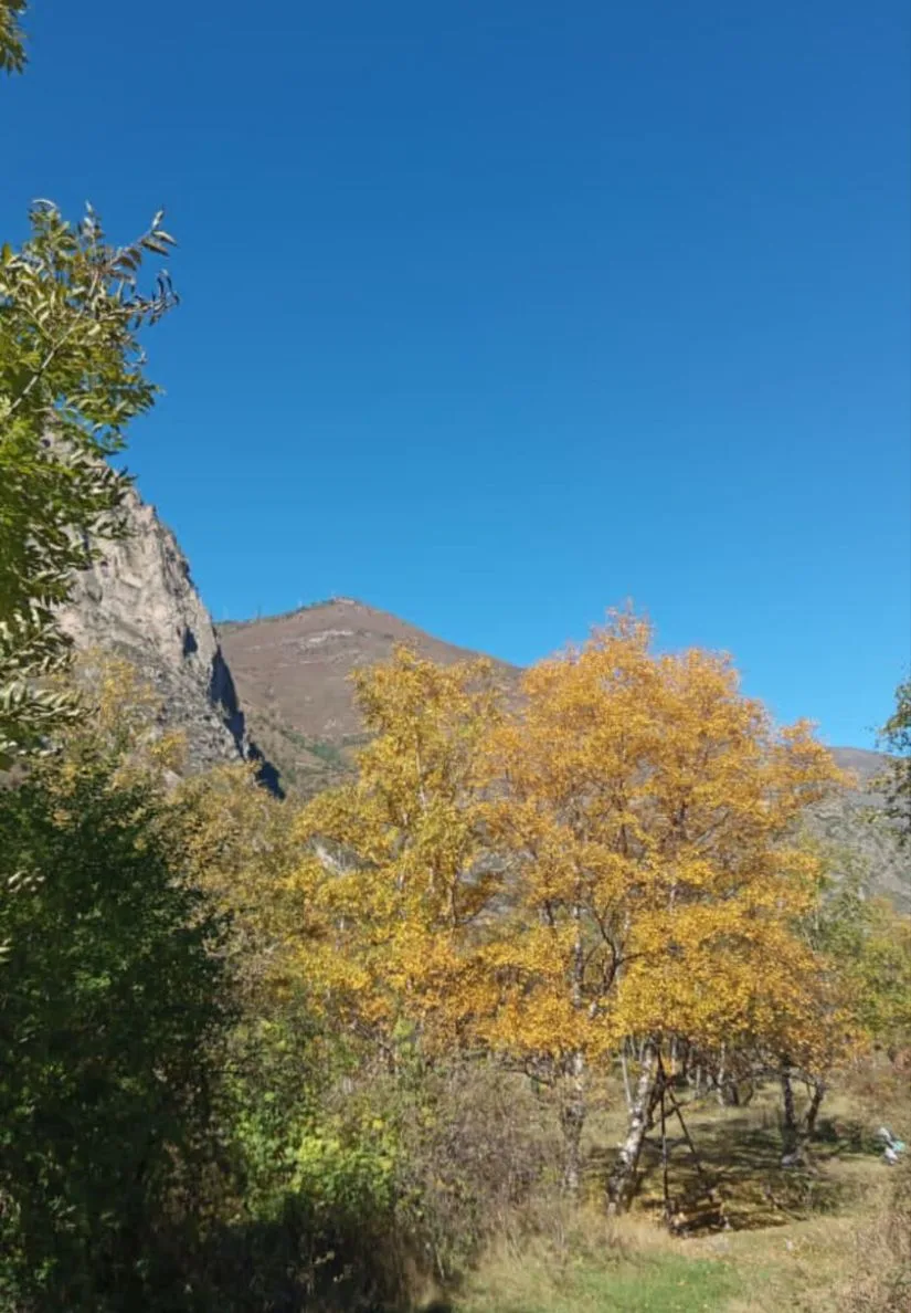 Сегодня был чудесный тёплый осенний 🍂🍂🍂 день 🤩