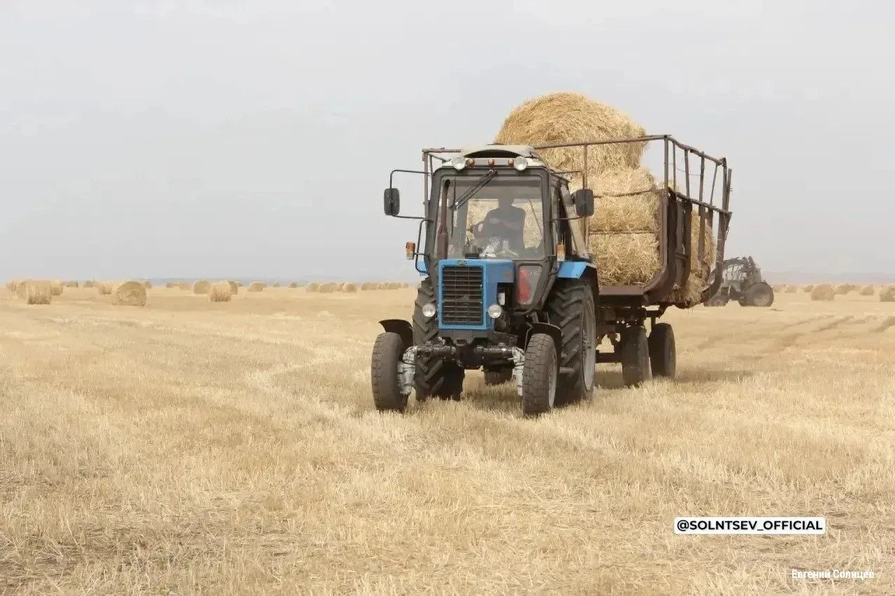 В Оренбуржье аграрии собрали свыше 4 млн тонн зерна. Регион второй год подряд бьет реко...