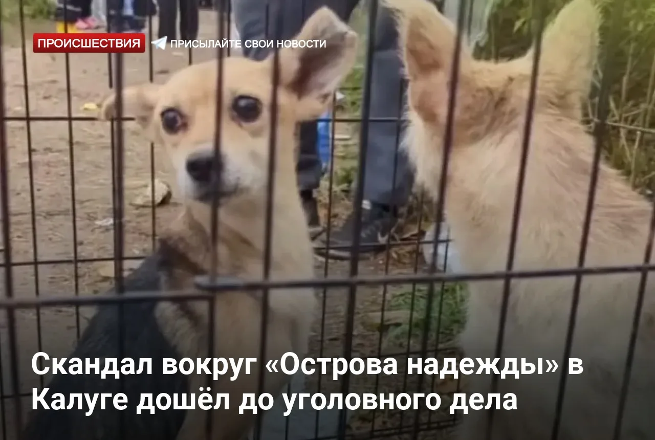 Скандал вокруг «Острова надежды» в Калуге дошёл до уголовного дела