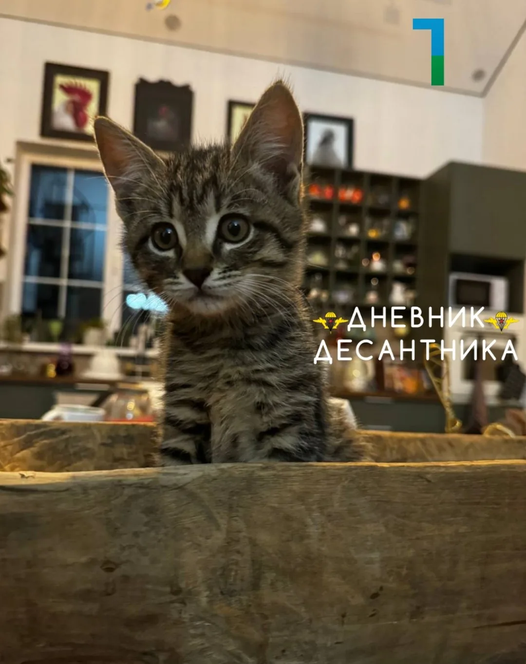 🪂 Срочно!