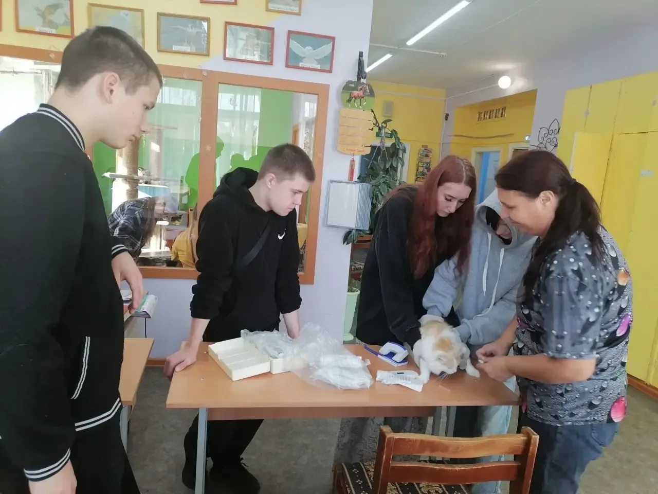 Маленький чип — большая ответственность!⤵️