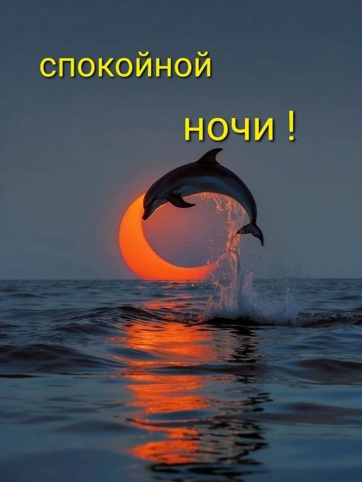 🩷🌙 Доброй ночи, дорогие читатели!
