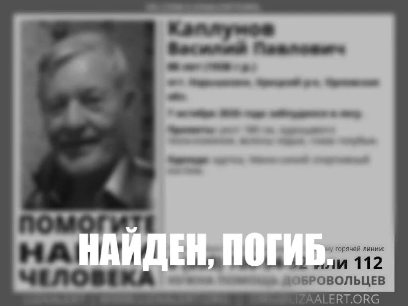 🙏 Пропавший Каплунов Василий найден, погиб, — сообщили в «ЛизаАлерт».