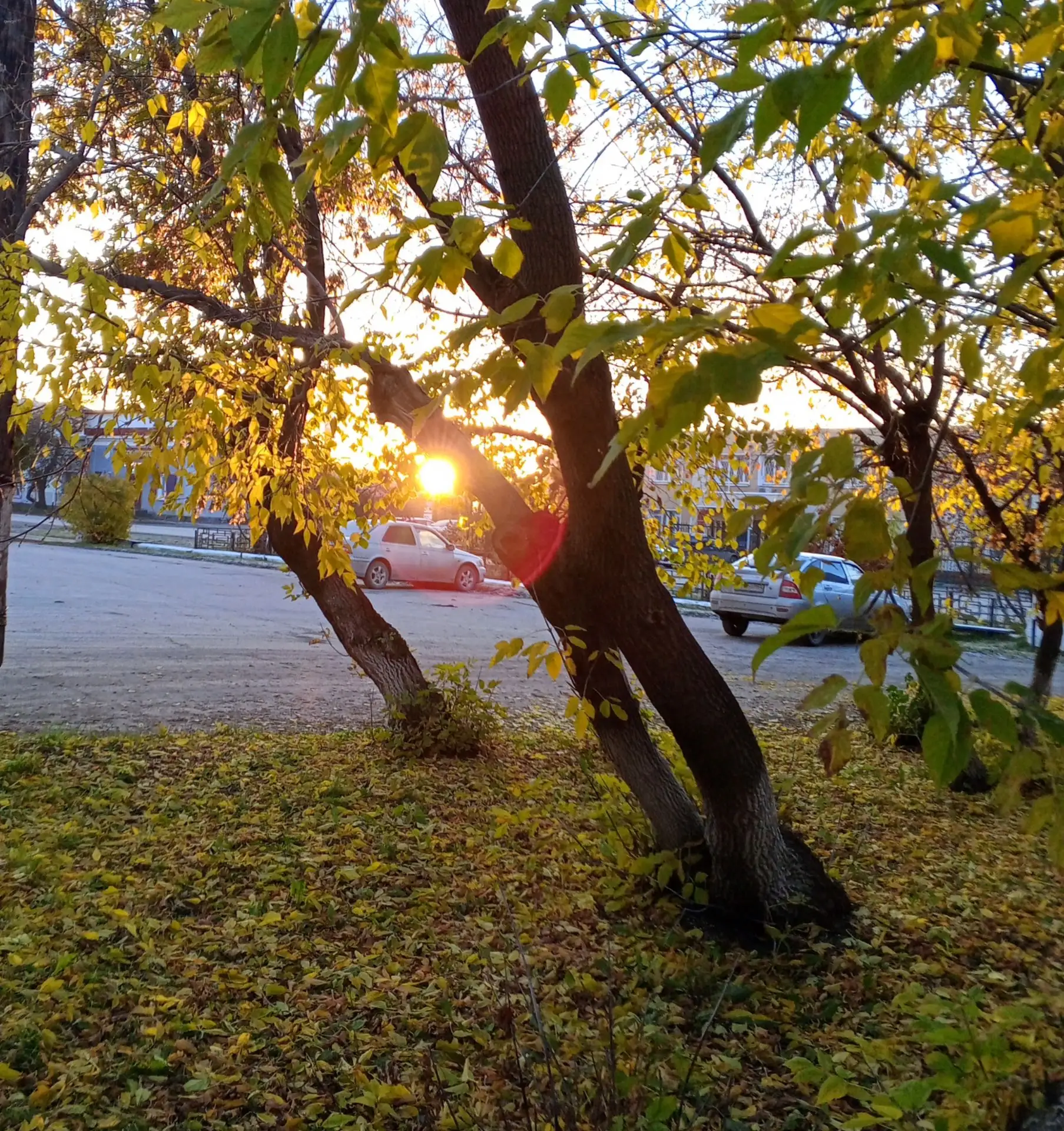 Доброго утра пятницы☕