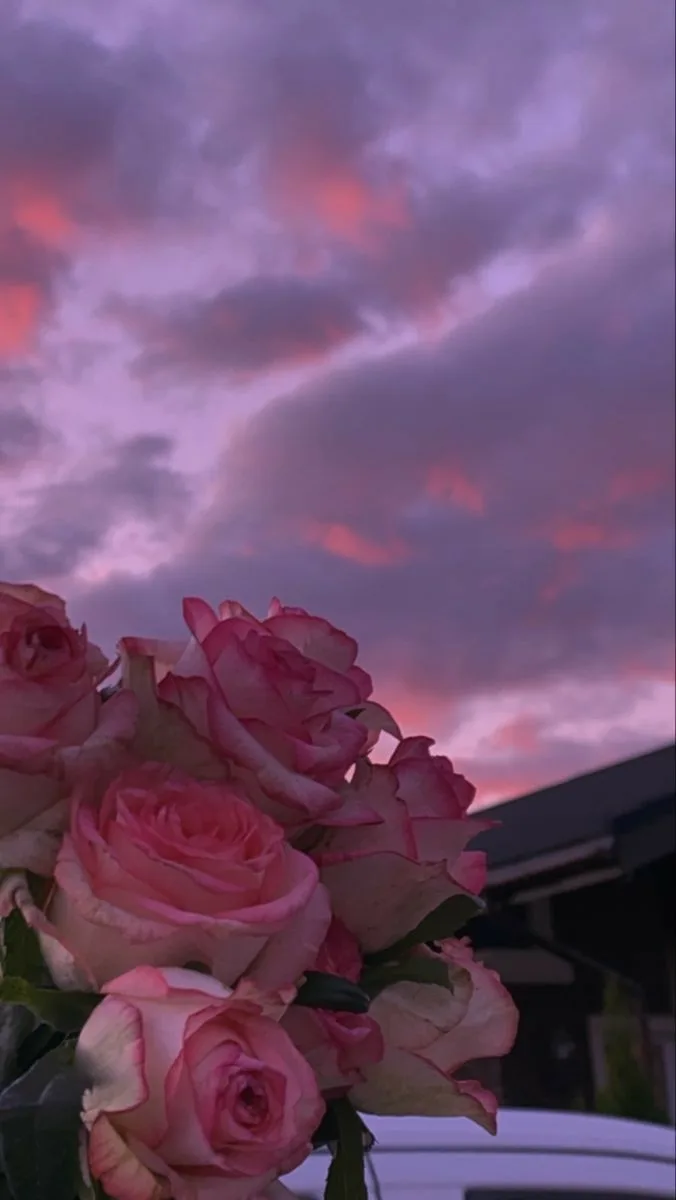 💐 Немного красоты