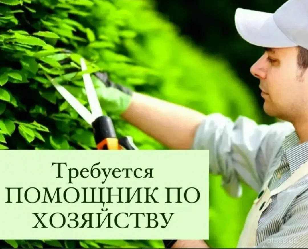Ищем помощника по хозяйству с проживанием!