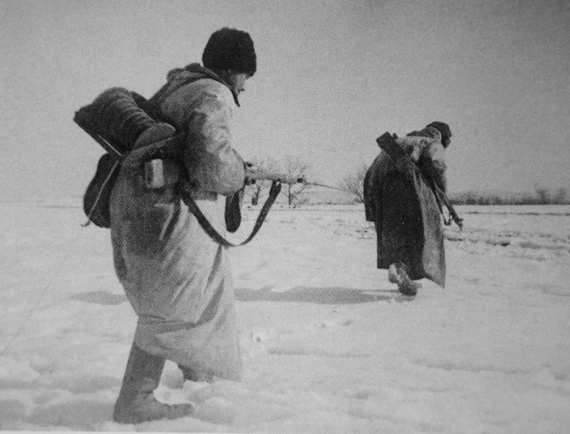 Связисты 41-го гвардейского кавполка прокладывают линию связи. За спиной ближнего к фот...