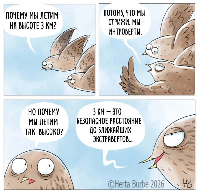 ✨ Три километра Автор на Пикабу: kotofeichkotofej