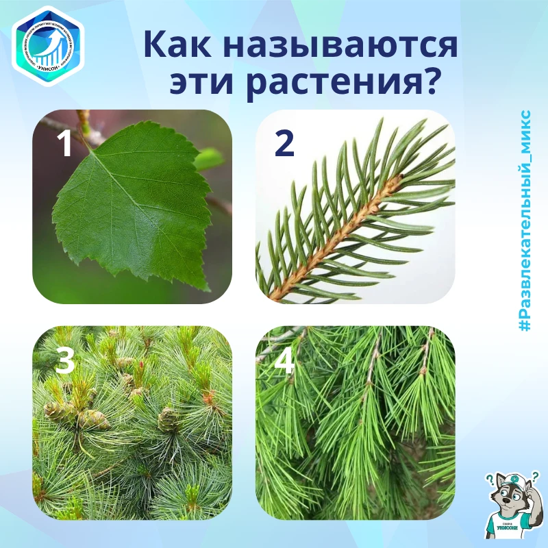 🎉 Привет, друзья! Вот и наступила пятница! 🍁