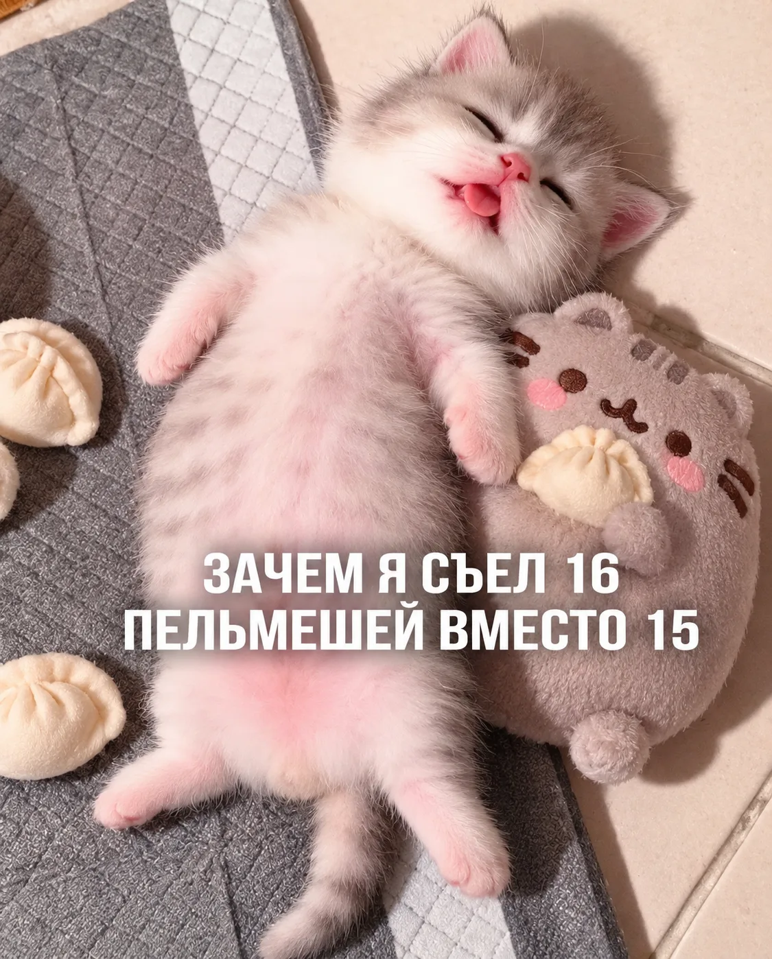 МЕМЫ С КОТИКАМИ😍