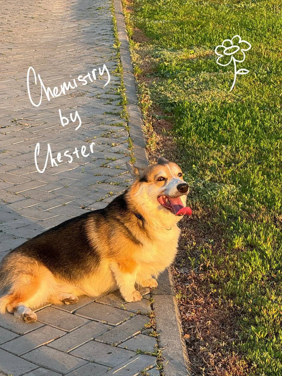 Chemistry by Chester  🙂