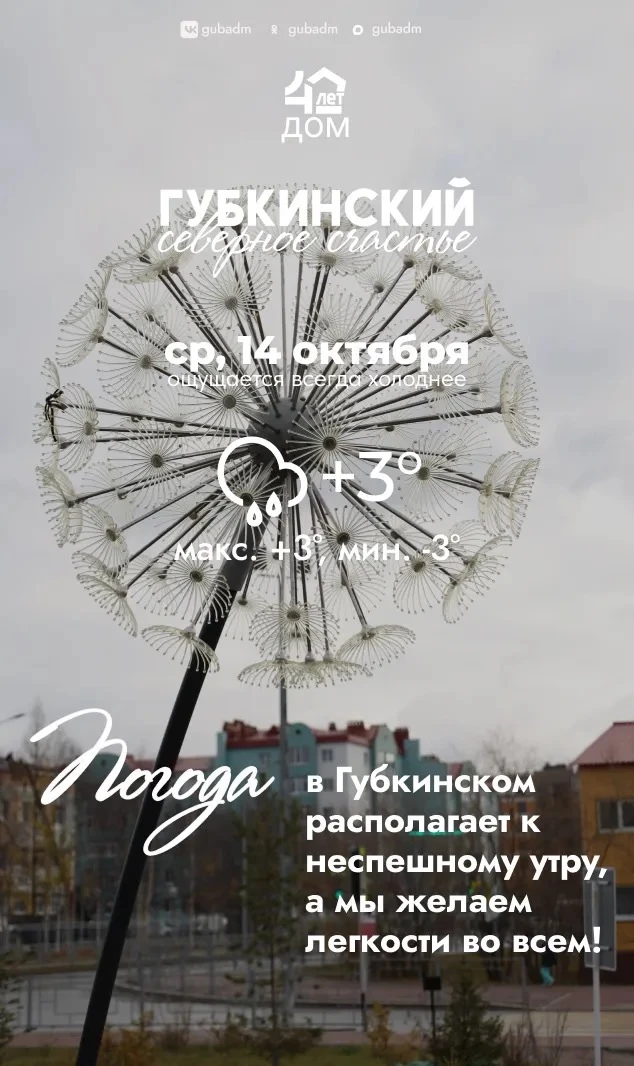 🍁Доброе утро, губкинцы!