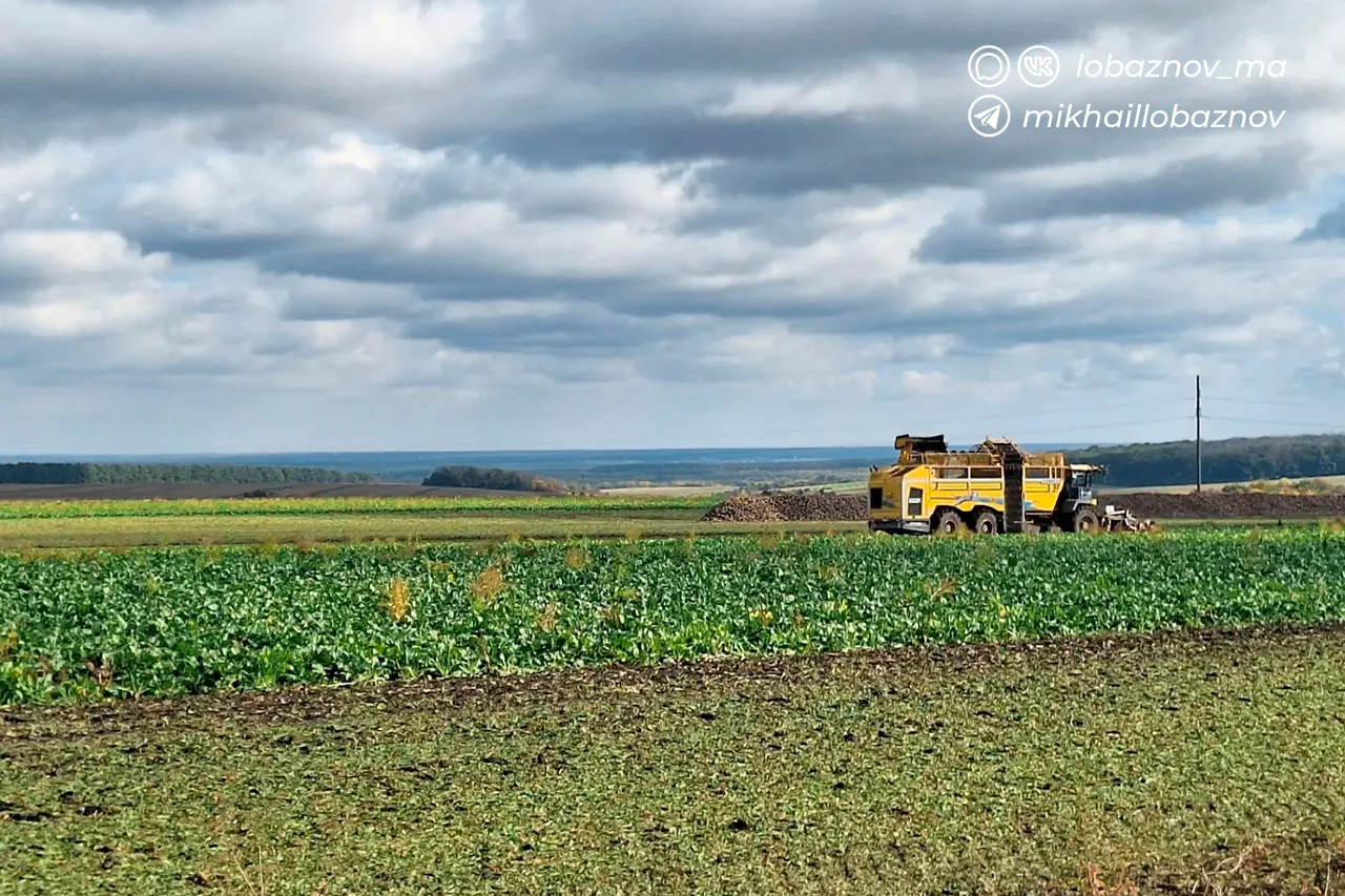 В Старооскольском округе продолжаются уборочная кампания и сев озимых культур.