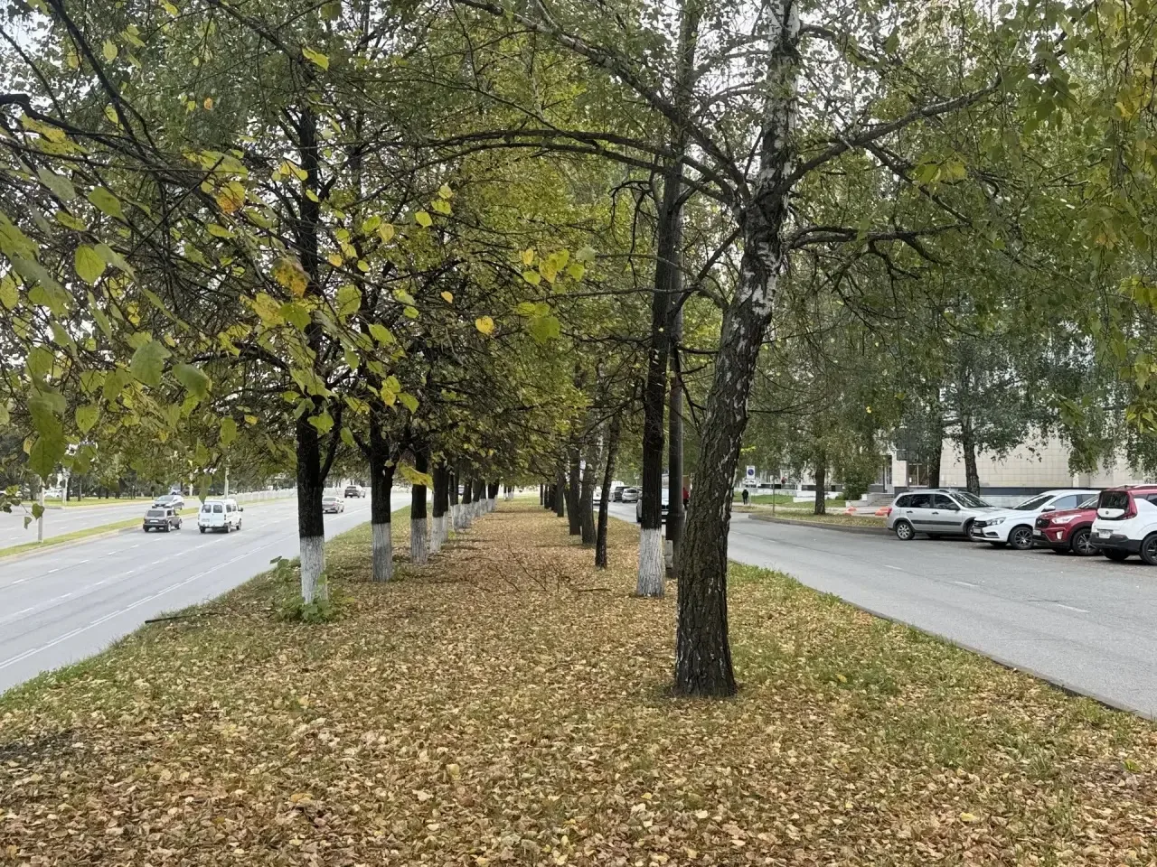 Было — стало: результат налицо!🍁💪