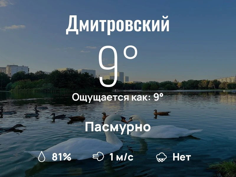 Что с погодой в Дмитровском?