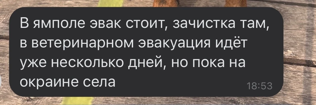 ‼️‼️‼️ВНИМАНИЕ ‼️‼️‼️