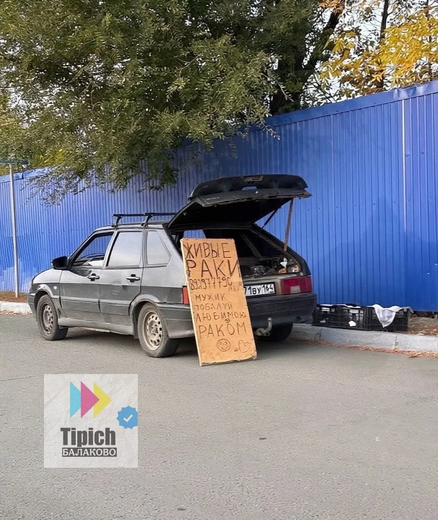 Не раков им продавать, а как минимум в рекламном агентстве работать😂
