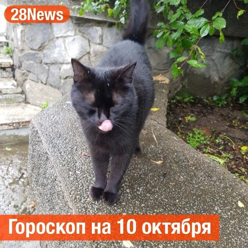 Гороскоп на 10 октября: спонтанность — к удаче.