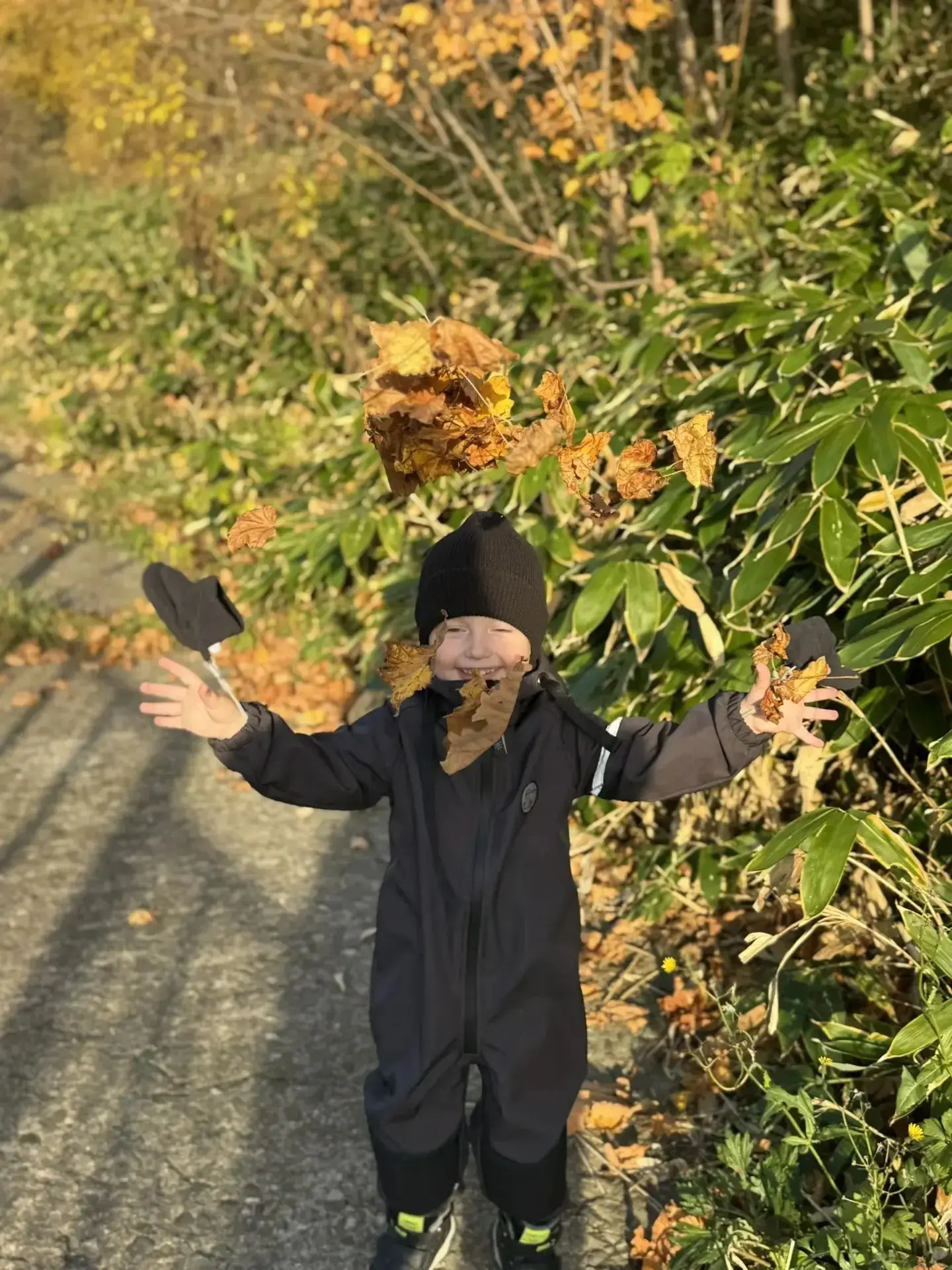 🍁🍂 Флешмоб «Листопад в ладошках» 🍂🍁