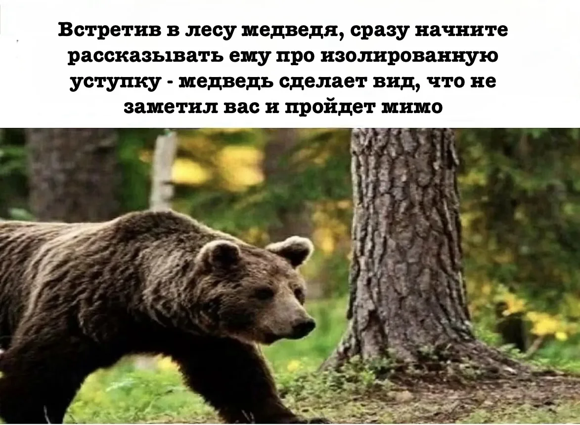 Всем продуктивного понедельника💪💪💪
