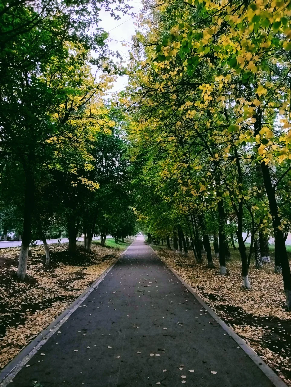 Доброе утро, как влияет на вас яркий солнечный свет утром?🌞