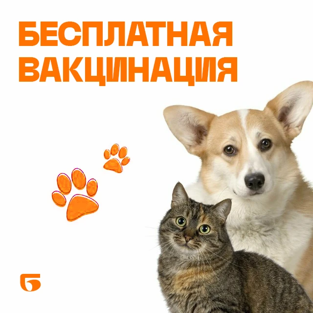В Зыково 13 и 14 октября бесплатно привьют собак и кошек от бешенства