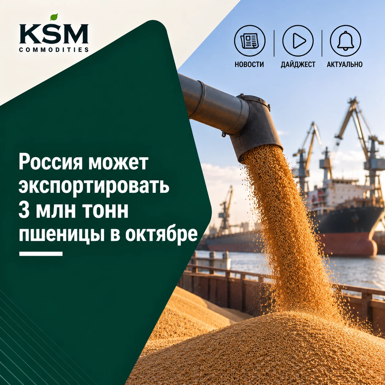 🌾 Россия может экспортировать 3 млн тонн пшеницы в октябре