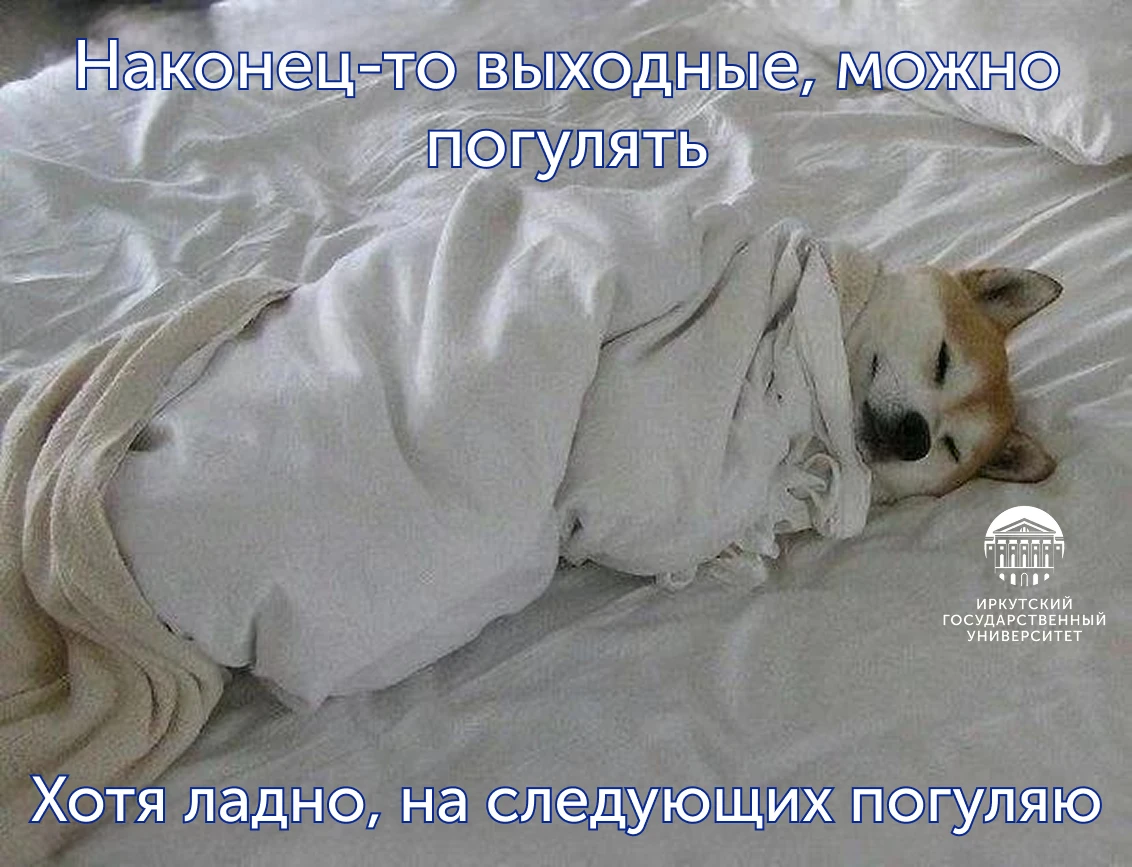 ✨ Вот и наступили выходные! Как планируете отдыхать? Ставьте реакцию ⬇️