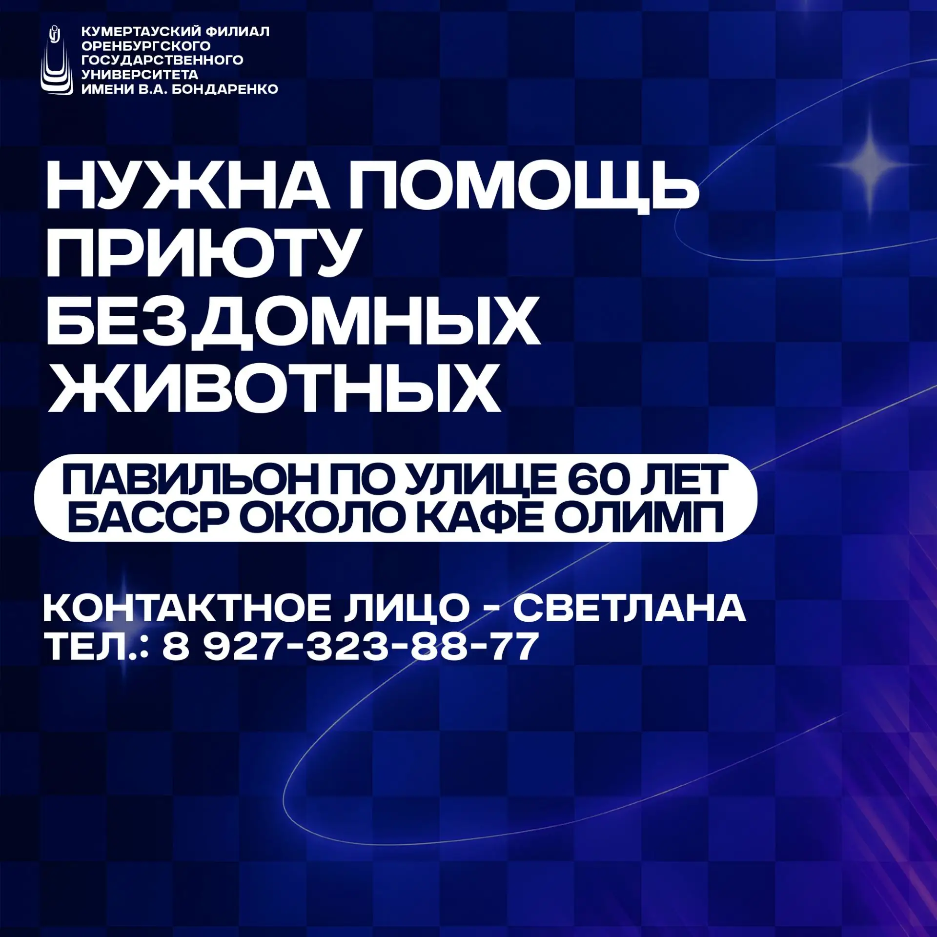 Волонтёры Кумертауского приюта бездомных животных просят о помощи 🐾