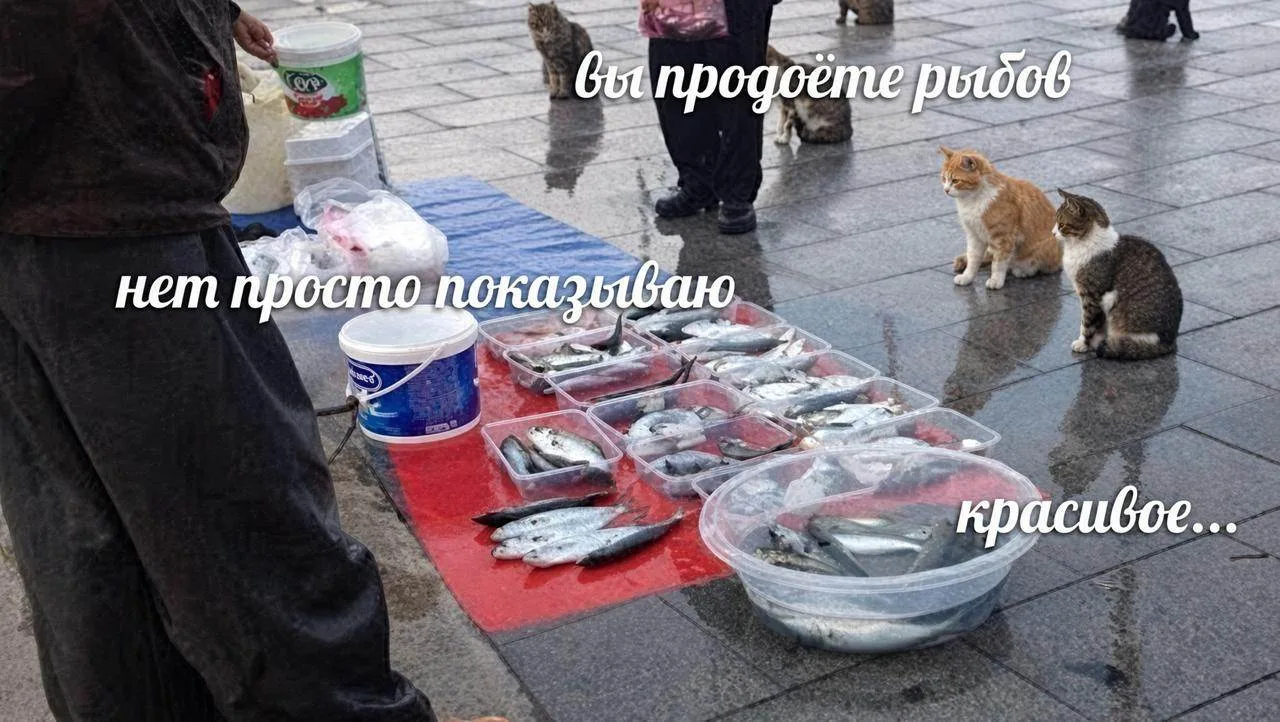 🐟 Рыба становится роскошью для россиян — рыбопереработчики жалуются на падение спроса.