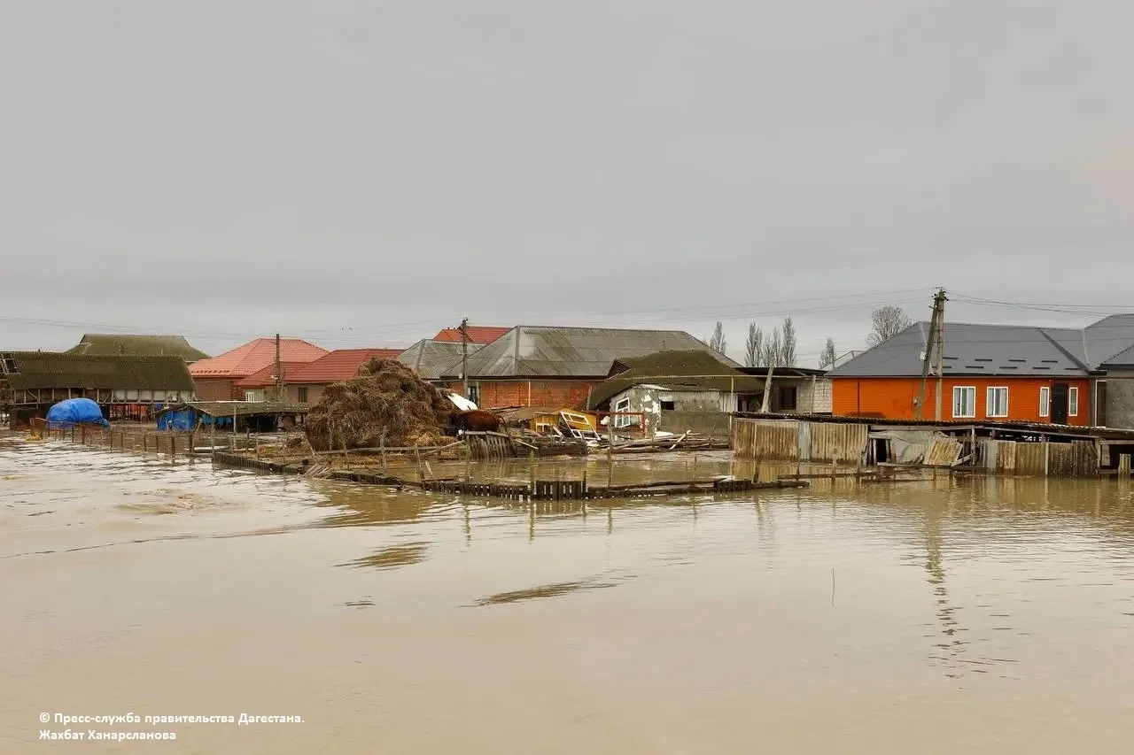 Поправки в Водный кодекс для строительства рядом с водоемами подготовят до конца года