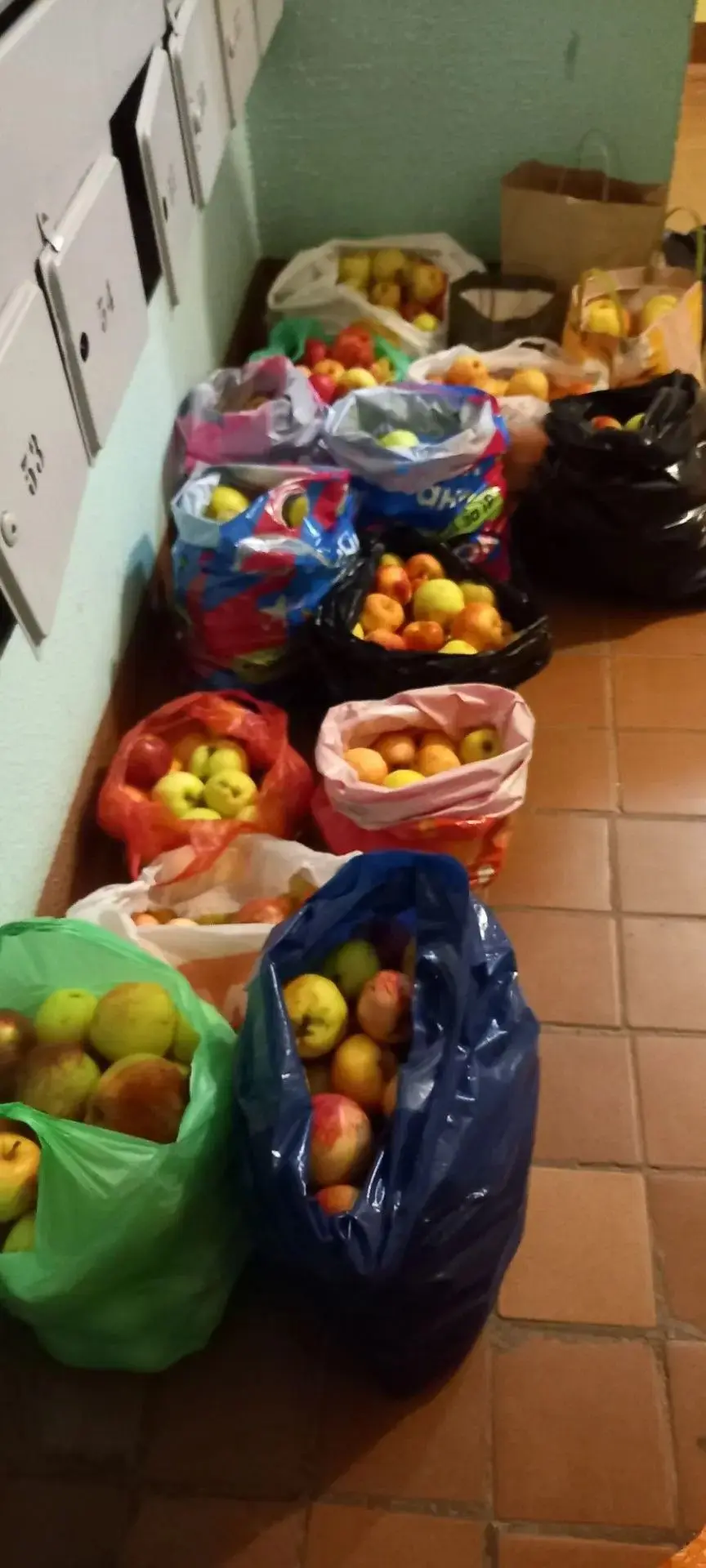 🍁Тепло, забота и корзина спелых фруктов — лучший подарок в Международный день пожилого...