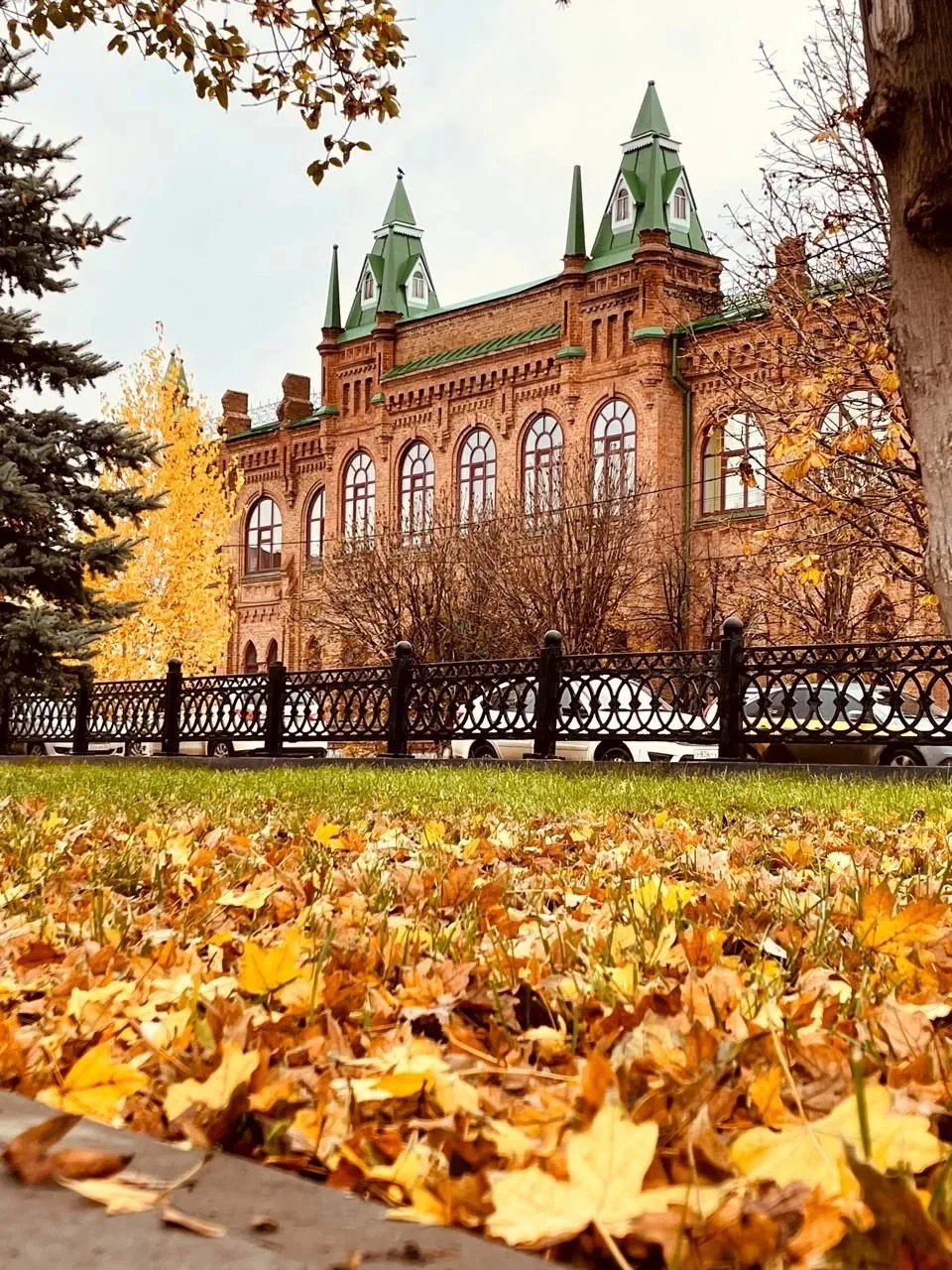 🍁 Золотая осень в Бузулуке 😍