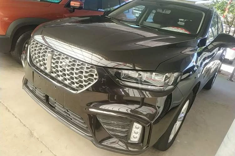 🚗 Wey 2019