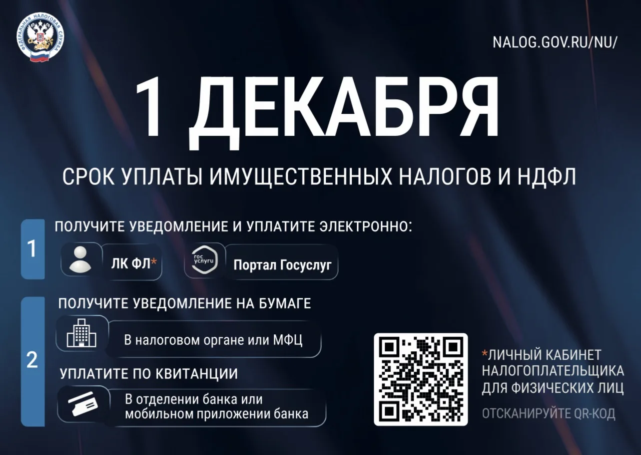 ⏰ Налоги нужно оплатить до