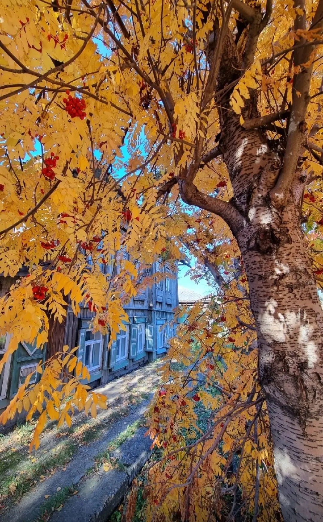 На Малом Городище ОСЕНЬ🍂