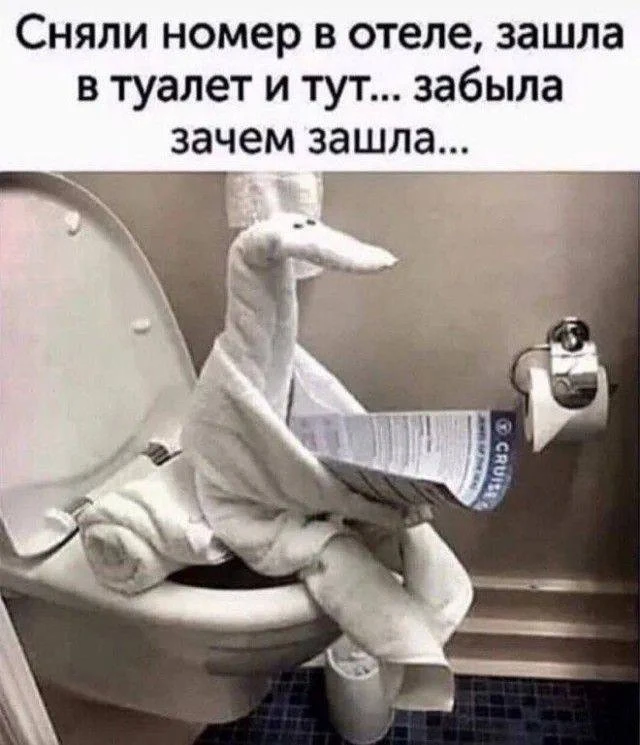😂😂😂