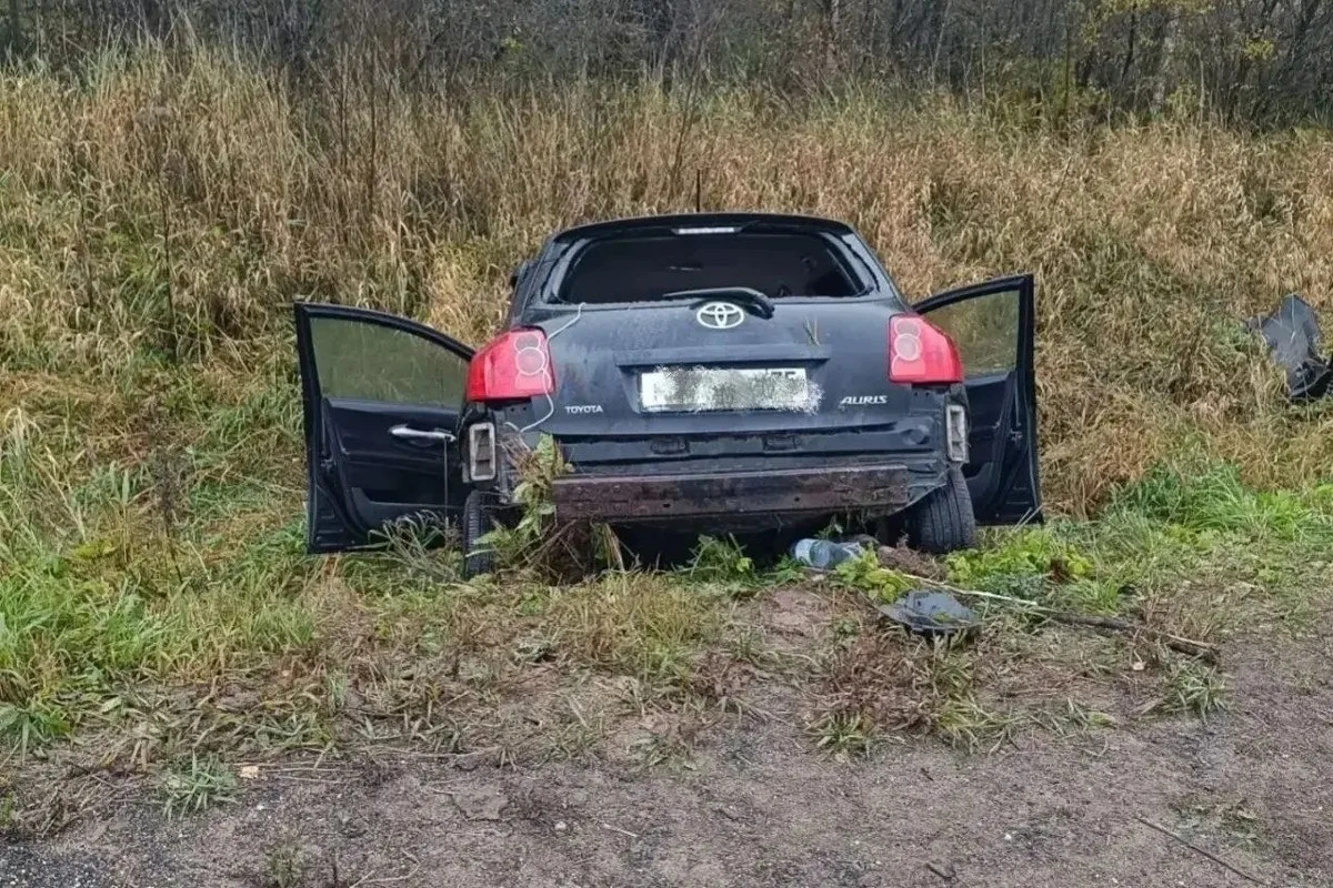Один человек погиб и трое пострадали под Соколом в слетевшей в кювет иномарке