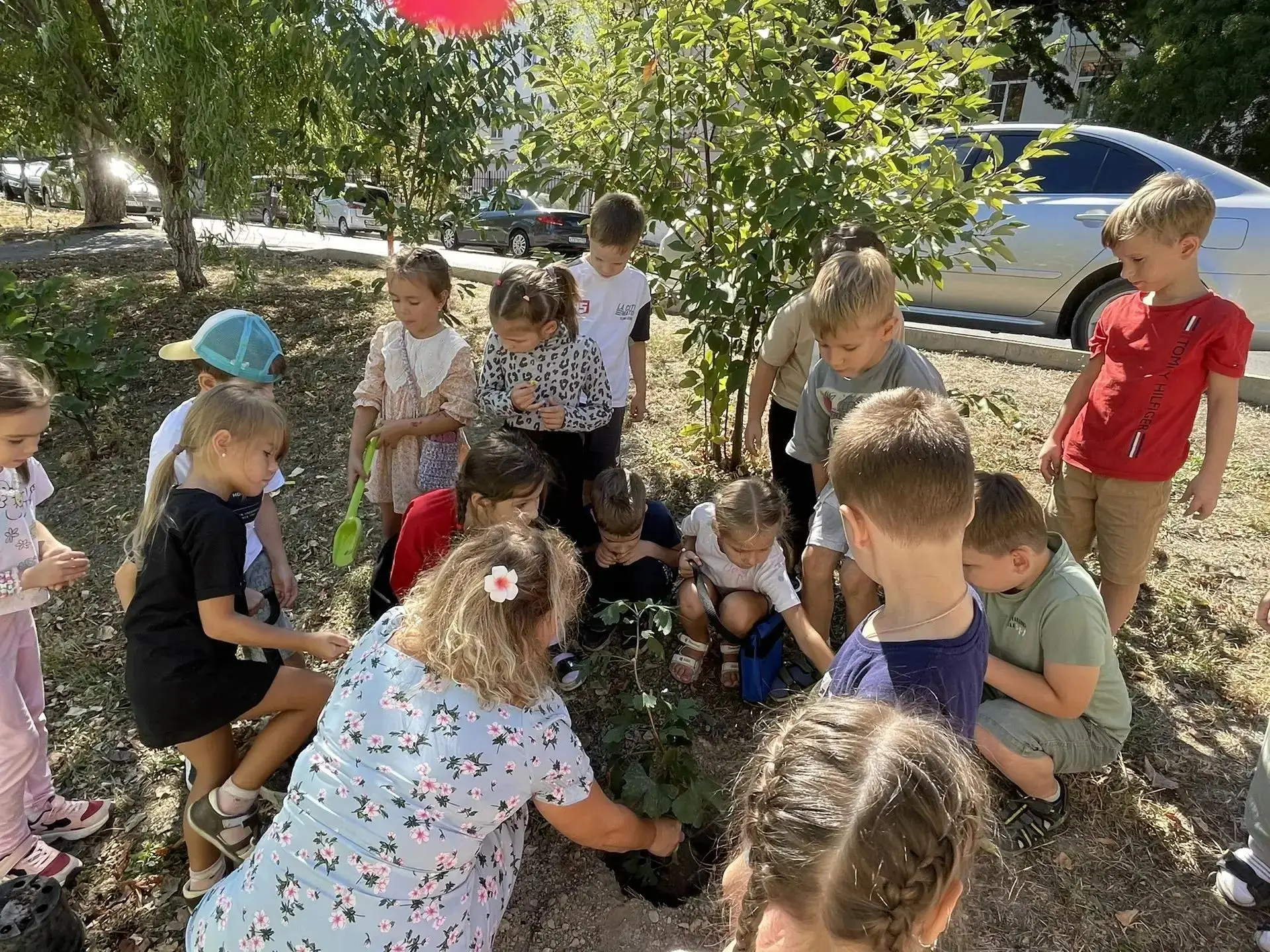 ✨В подготовительной группе № 2 была проведена акция: посадка редкого дерева Гинго.