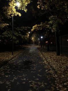 🌙 субботний вечер