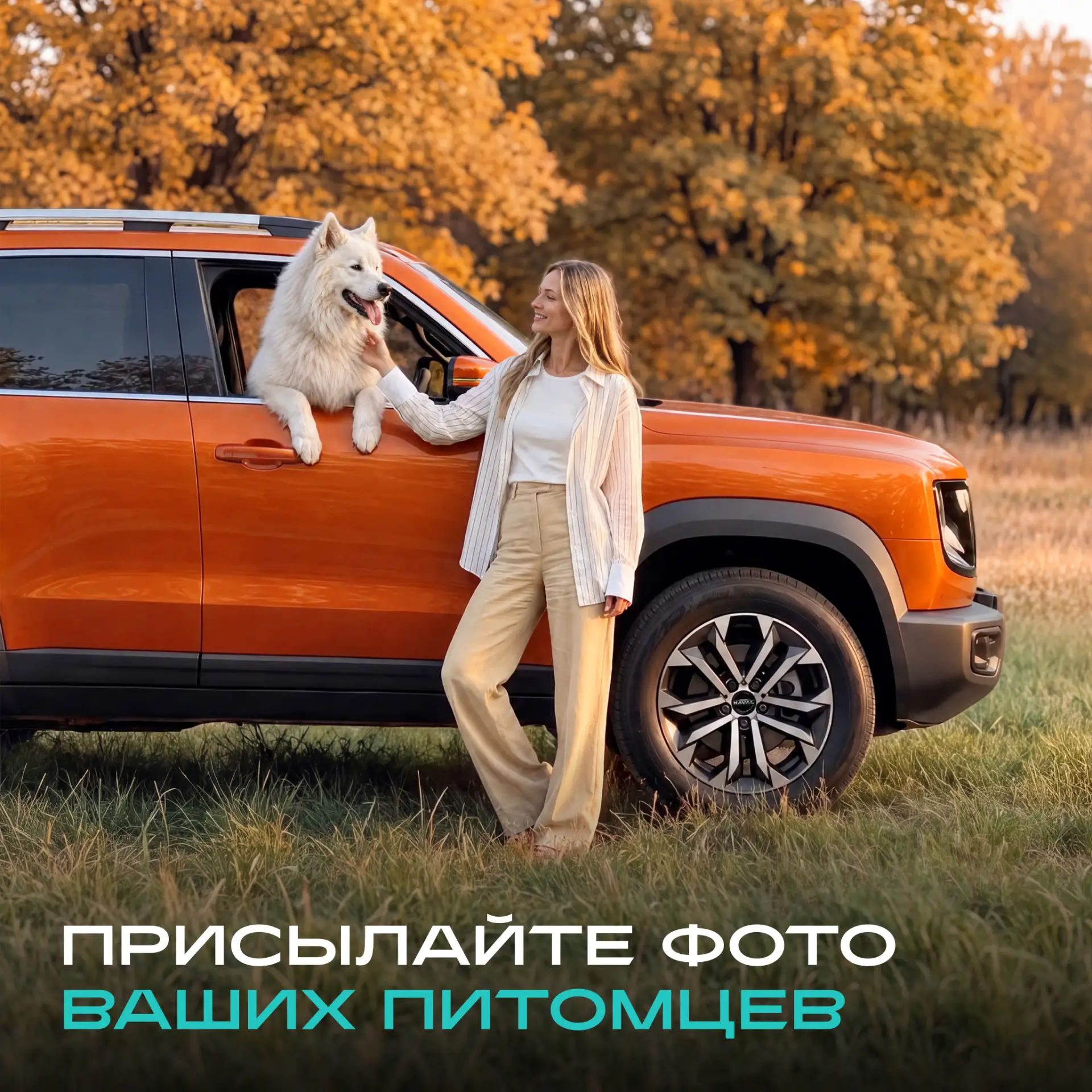У некоторых пассажиров HAVAL есть лапы, хвост и своё мнение о том, куда лучше отправить...
