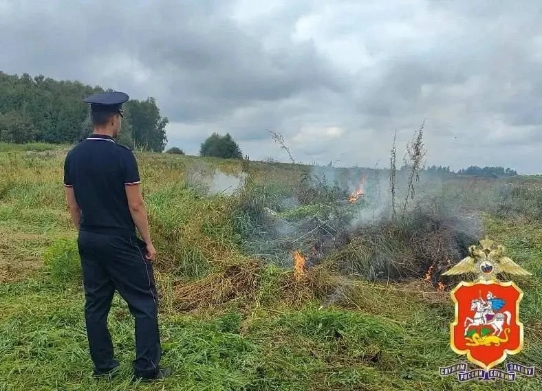 🚔 В Подмосковье под Луховицами полиция нашла 30 соток каннабиса